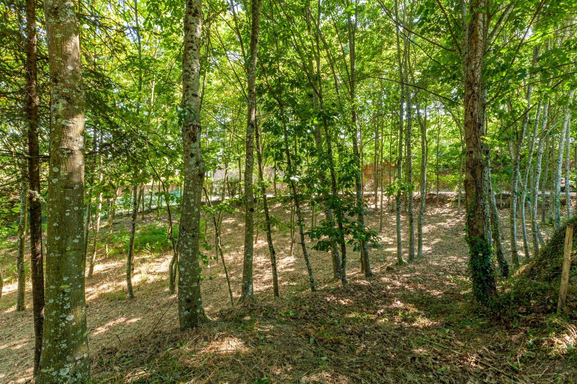 Villas Prendal Eco Living - Minho'S Guest Guimarães Eksteriør billede