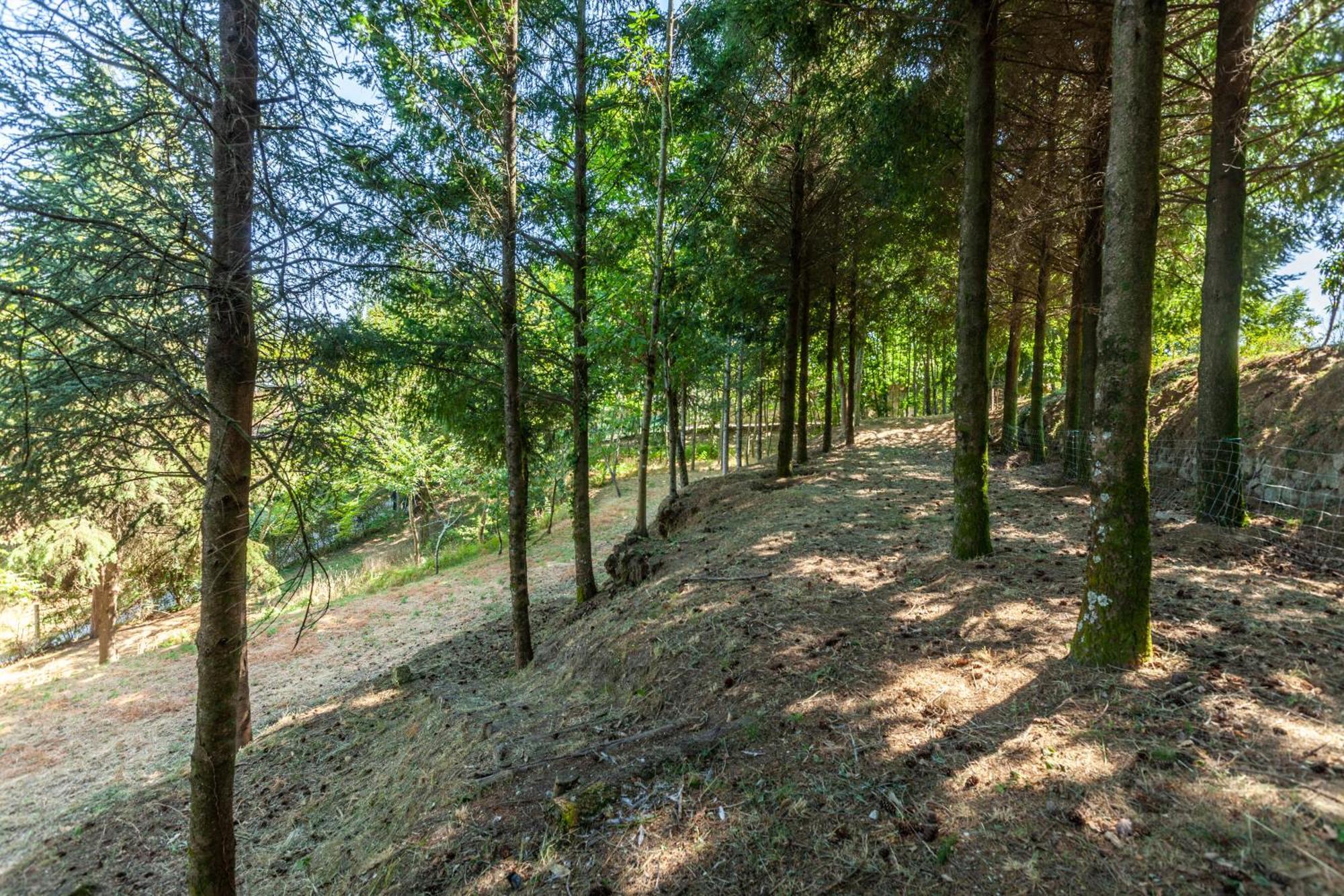 Villas Prendal Eco Living - Minho'S Guest Guimarães Eksteriør billede