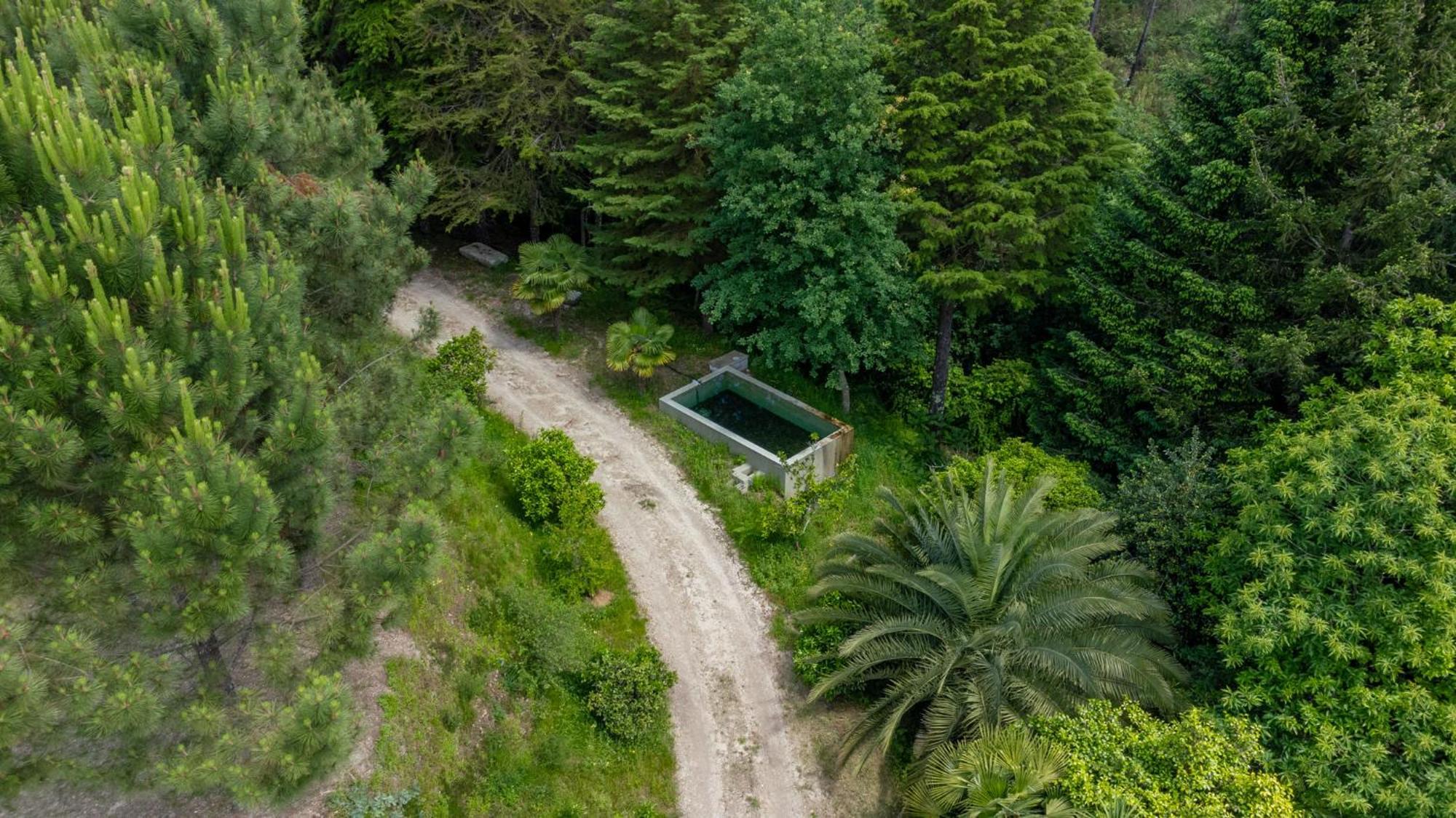 Villas Prendal Eco Living - Minho'S Guest Guimarães Eksteriør billede