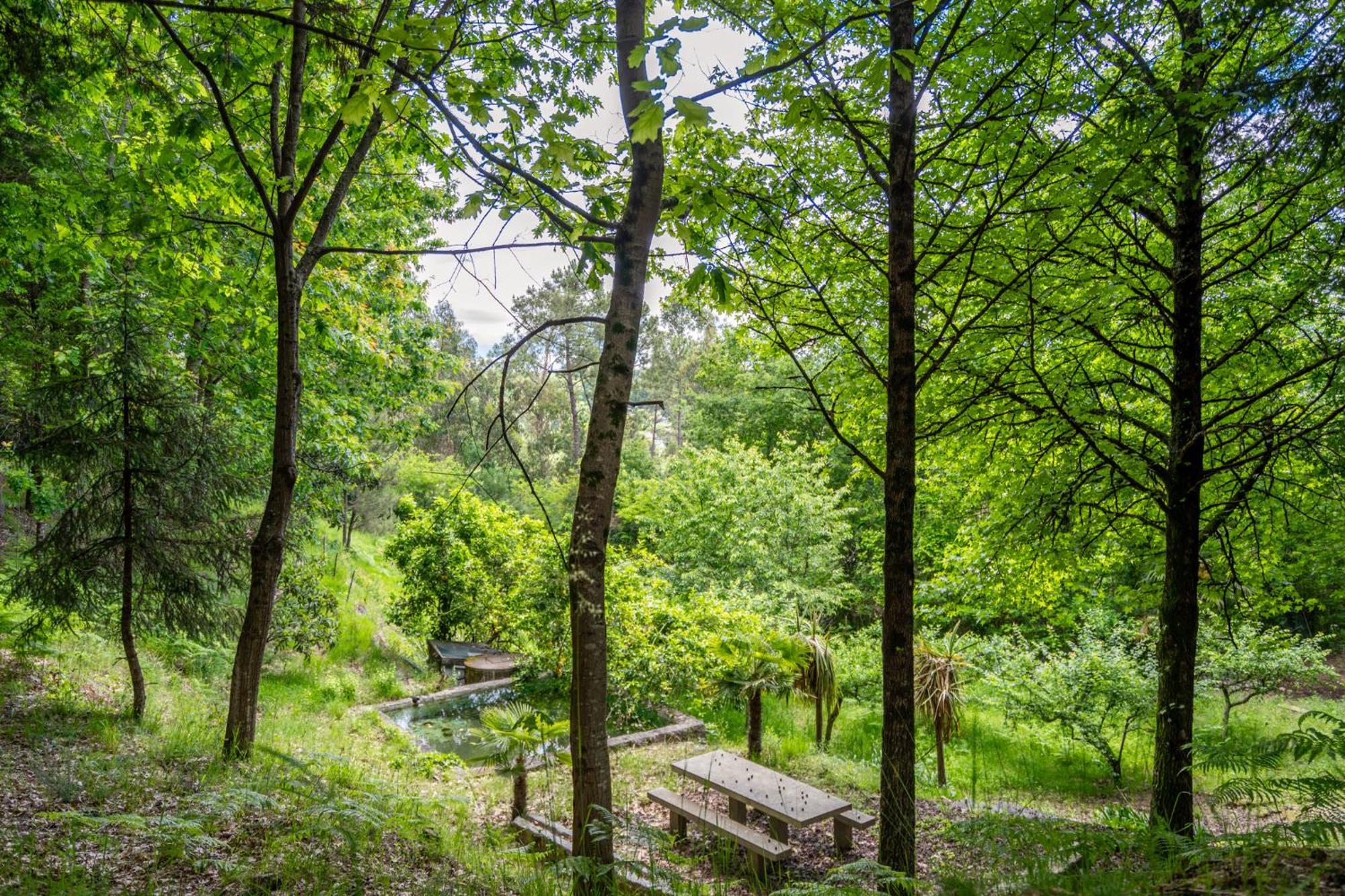 Villas Prendal Eco Living - Minho'S Guest Guimarães Eksteriør billede