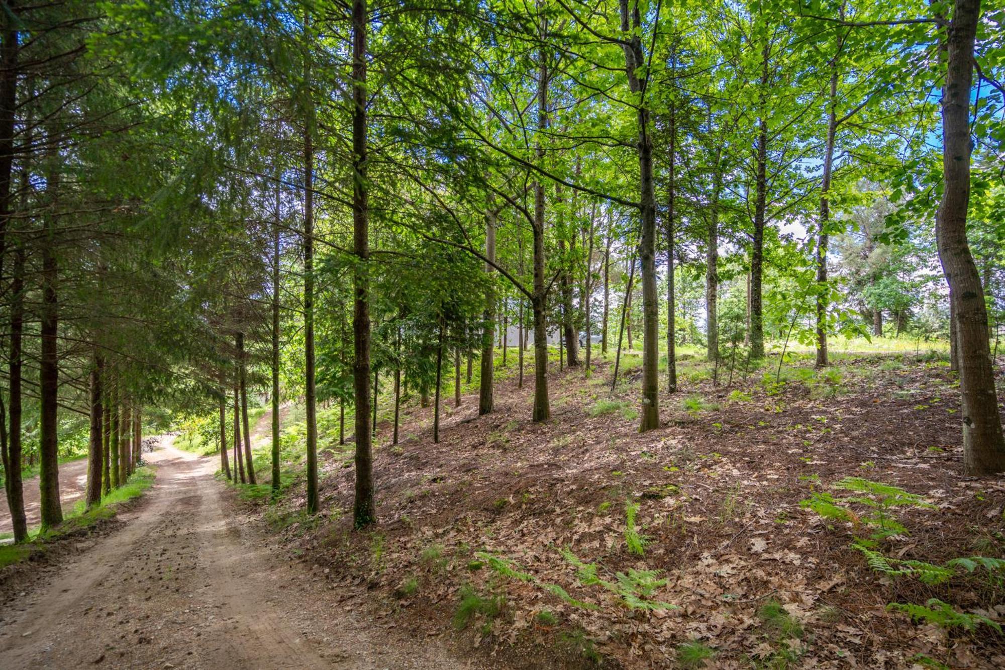 Villas Prendal Eco Living - Minho'S Guest Guimarães Eksteriør billede